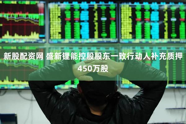 新股配资网 盛新锂能控股股东一致行动人补充质押450万股